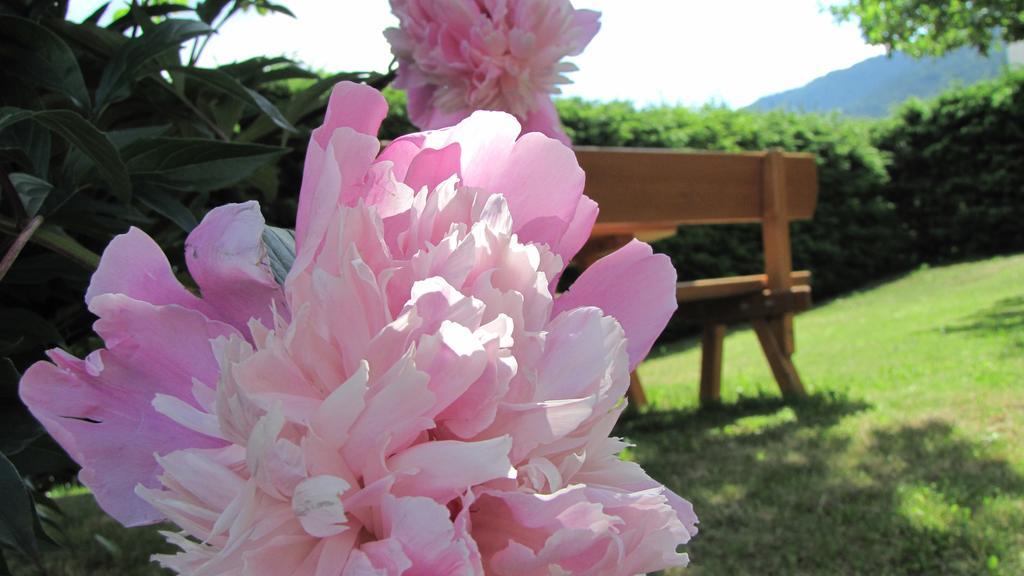 Appartement Garden Olang 外观 照片